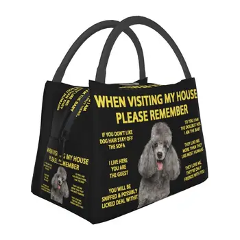 Милый Пудель Собака Изолированная сумка для ланча для женщин Сменный Кулер Термальный Ланч-бокс для еды Работа Путешествия