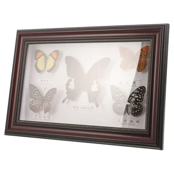 Фоторамка с образцом бабочки Рамка для показа образца бабочки Фоторамка с образцом бабочки для стены